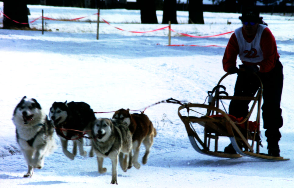 OooWoo Racing Kennel Images